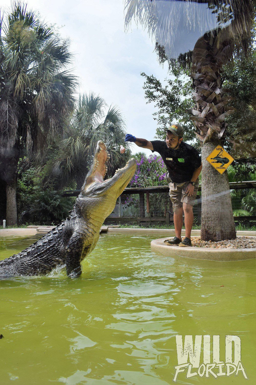 12 Top Exciting Things To Do In Orlando With Kids.