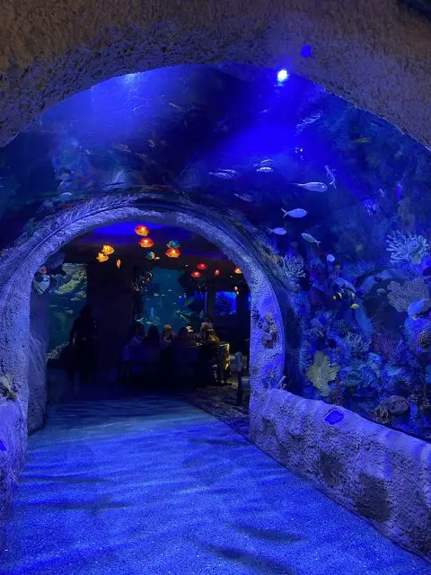 Aquarium Restaurant In Nashville, TN Pictures.