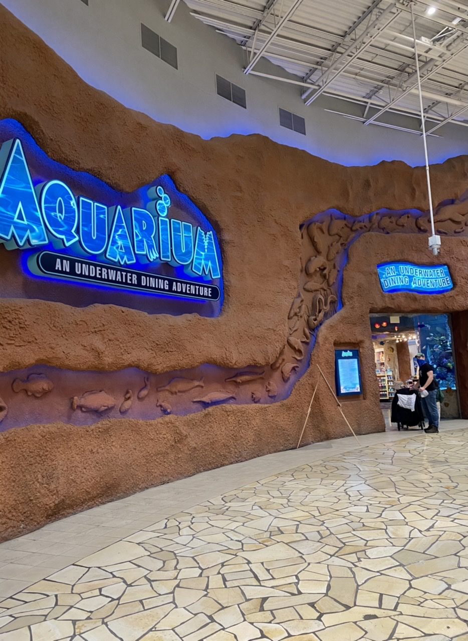 Visit One Absolutely Adorable Aquarium Restaurant In Nashville, TN - CB241F32 5CE2 446A B656 5C6828BB6623