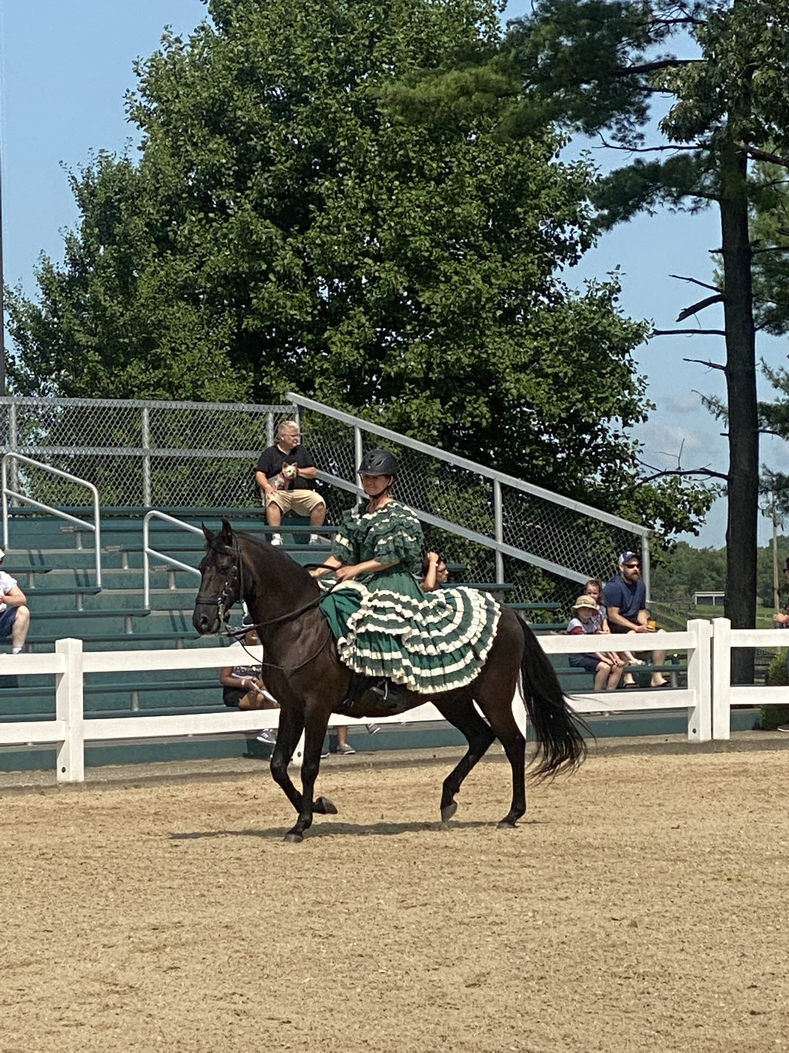 Kentucky Horse Park. All You Need To Know Before You Go.